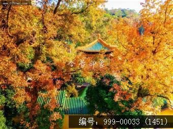 玉台寺