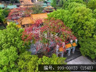 玉台寺