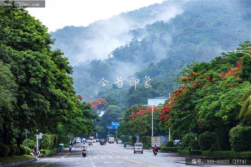 车水马龙_交通水利