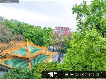 玉台寺