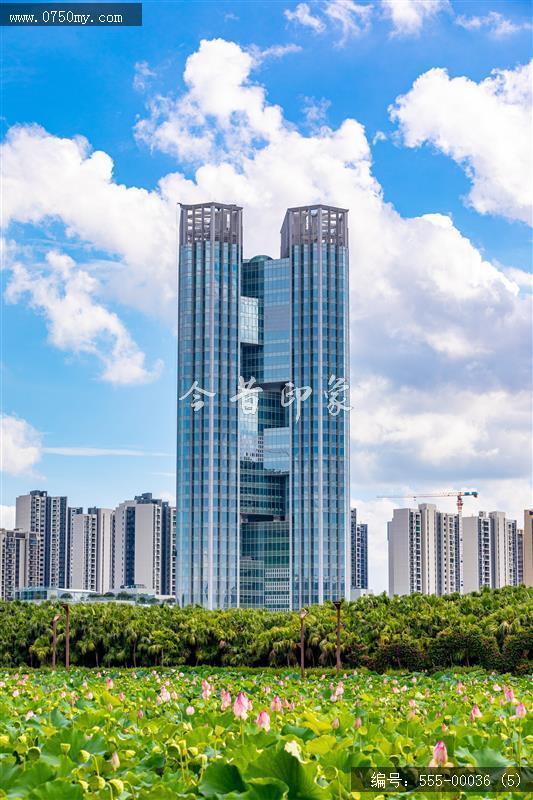 梅江生态园2024_荷花,绿色,风景,生态园