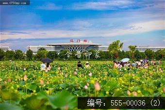梅江生态园2024