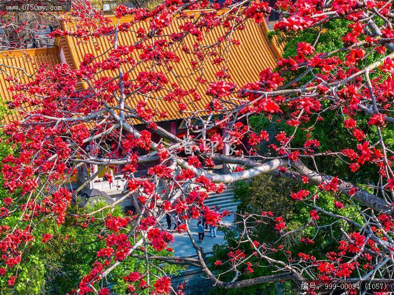 玉台寺_航拍,圭峰山,玉台寺