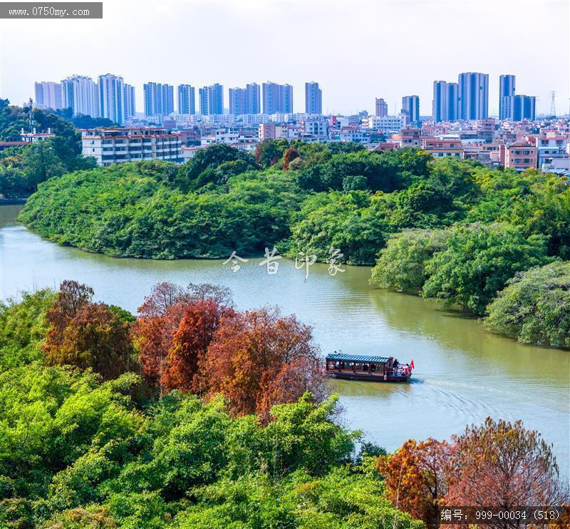 小鸟天堂_航拍,小鸟天堂,旅游民俗