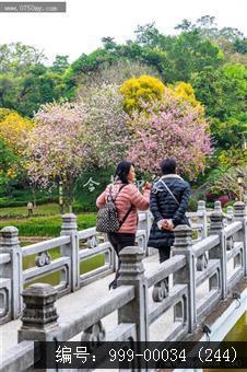 北园花园