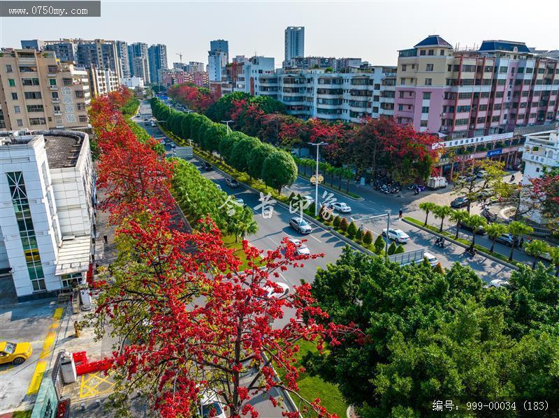 冈州广场_航拍,城市景色