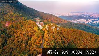 玉台寺