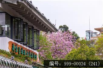 北园花园