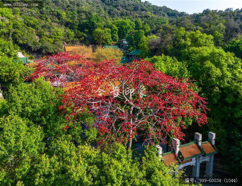 玉台寺_航拍,圭峰山,玉台寺