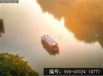 小鸟天堂
