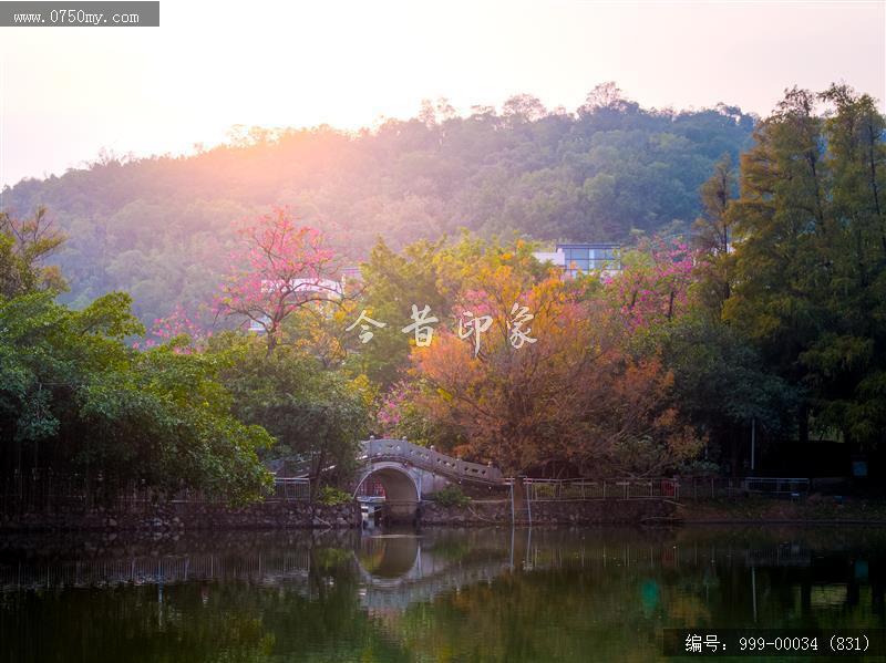 玉湖_航拍,玉湖,旅游民俗