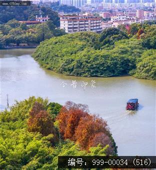 小鸟天堂