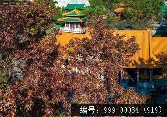 玉台寺