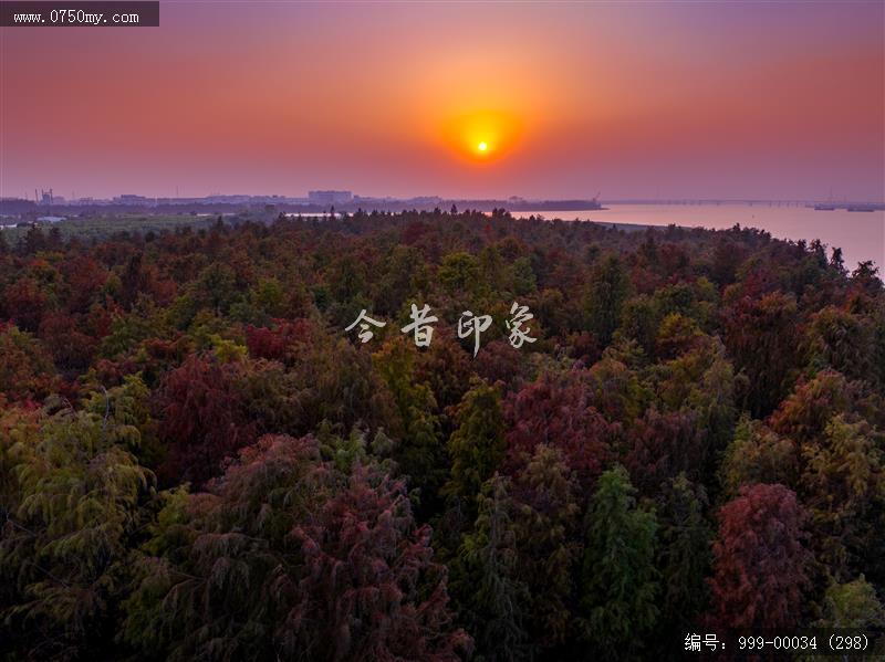 南坦_航拍,生态环境