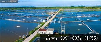 鱼塘