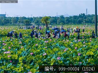 梅江生态园