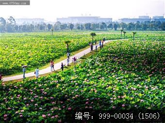 梅江生态园