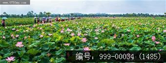 梅江生态园