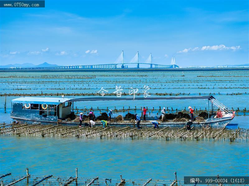 黄矛海大桥_航拍,交通水利