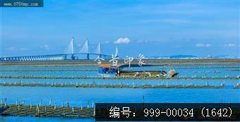 黄矛海大桥