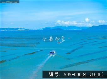 蚝排