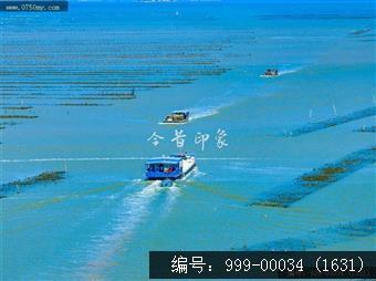蚝排