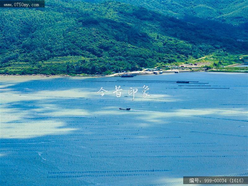 蚝排_航拍,渔业