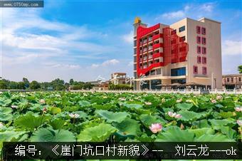 崖门坑口村新貌