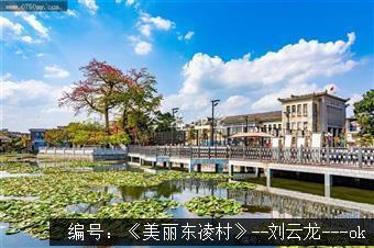 美丽东凌村